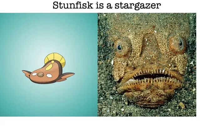 Animals & Plants In Real Life That Look Like Pokemon