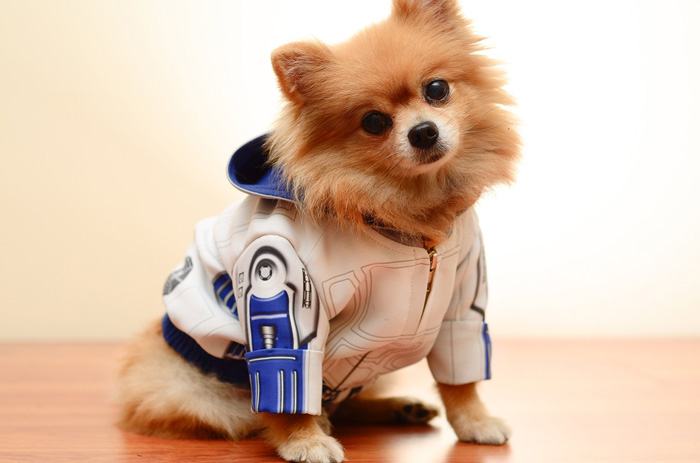 Star Wars Droid Dog Costumes