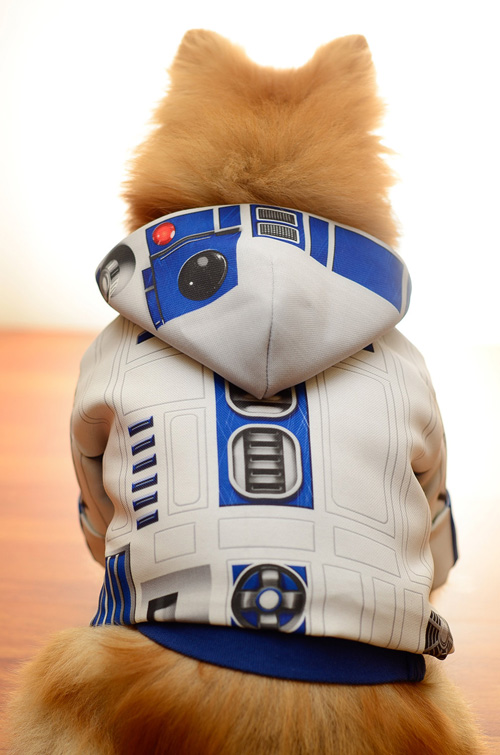 Star Wars Droid Dog Costumes