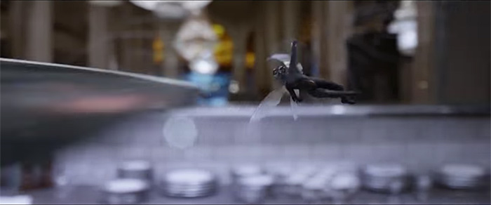 Ant-Man and the Wasp First Trailer