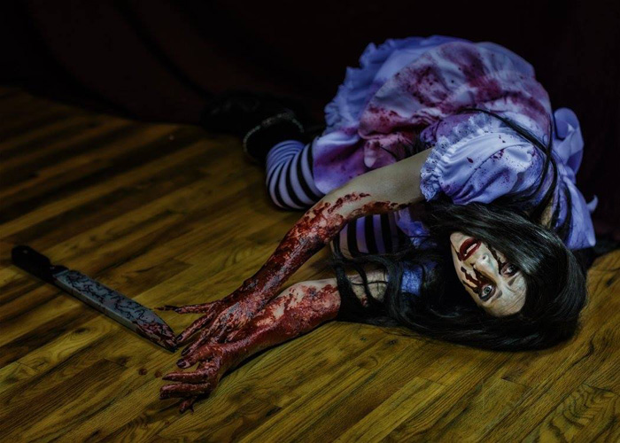 Alice: Return to Madness Cosplay