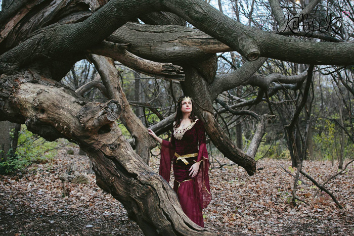Arwen from Lord of The Rings Cosplay