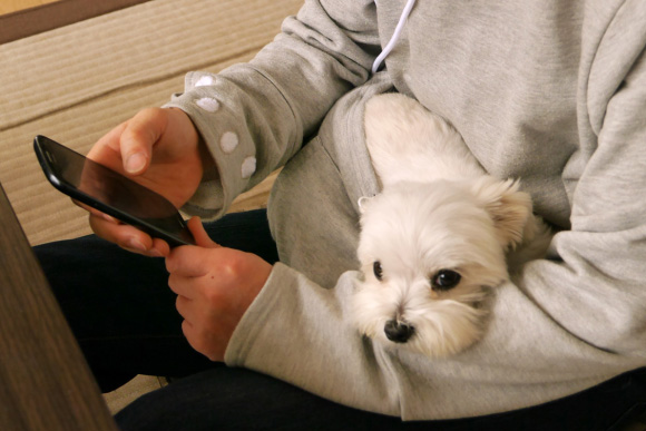 Cuddle Pouch Hoodie for Pets