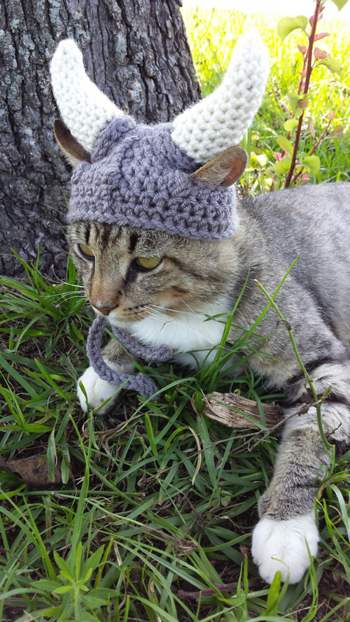 Knitted Viking Helmet for Cats