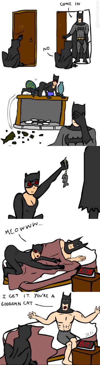 Catwoman Comic