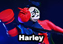 Harley Quinn Fan Art Cosplay