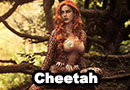 Cheetah from DC Comics Cosplay