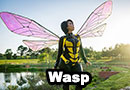 Wasp Cosplay