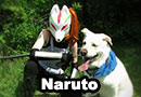 Naruto ANBU Black Ops OC Rei Natsuki Cosplay