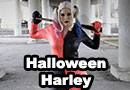 Halloween Harley Quinn Cosplay