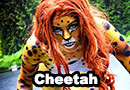 Cheetah from DC Comics Cosplay