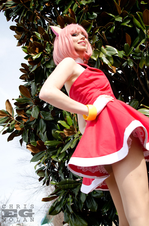 Amy Rose from Sonic the Hedgehog Cosplay
