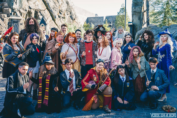 Harry Potter Group Cosplay