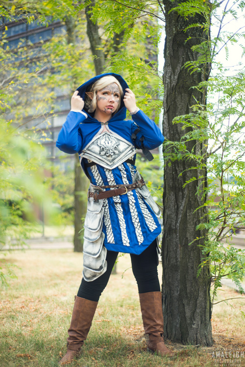 Grey Warden from Dragon Age Cosplay