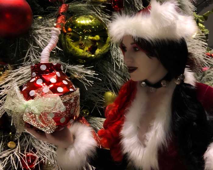 Harley Quinn Holiday Special