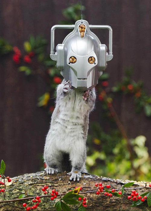 Doctor Who Cyberman Squirrel Feeder