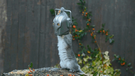 Doctor Who Cyberman Squirrel Feeder