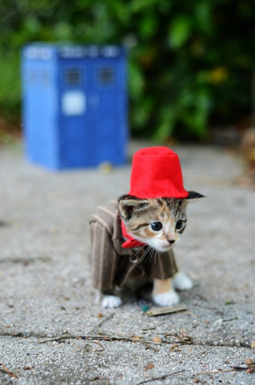 Doctor Who 11th Doctor Kitty