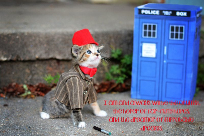 Doctor Who 11th Doctor Kitty
