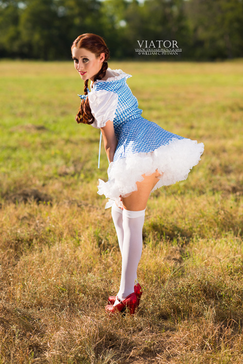 Dorothy from the Wizard of Oz Pinup