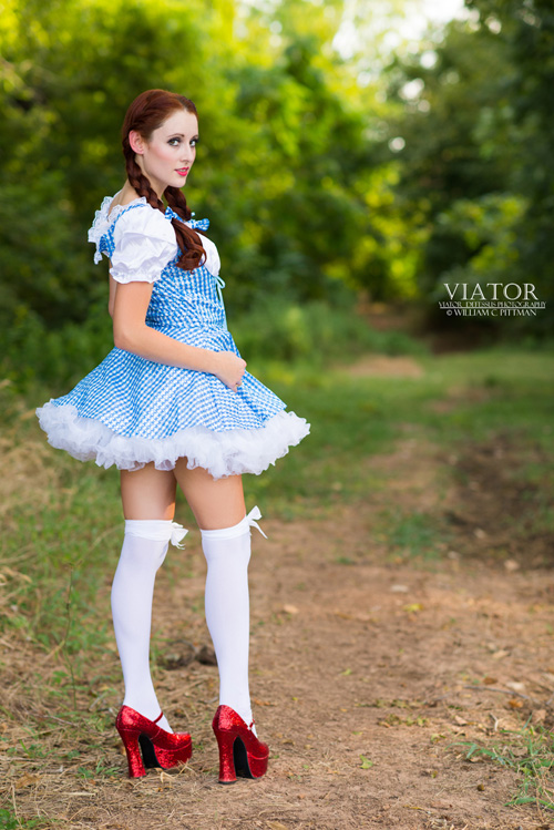 Dorothy from the Wizard of Oz Pinup