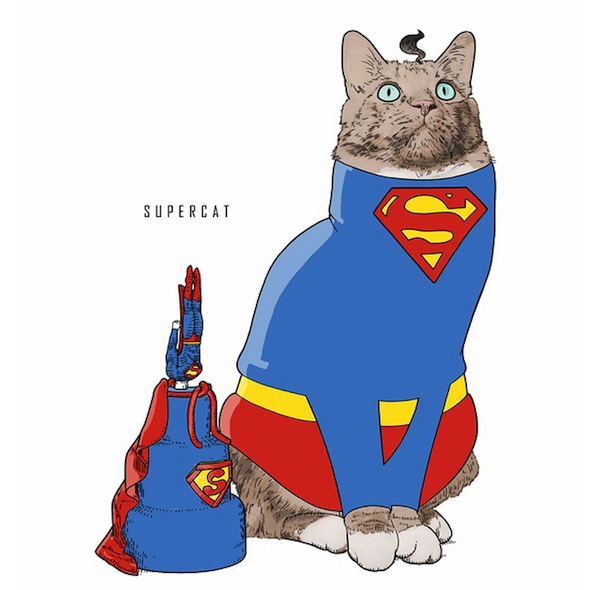Geek Pop Culture Icons as Cats