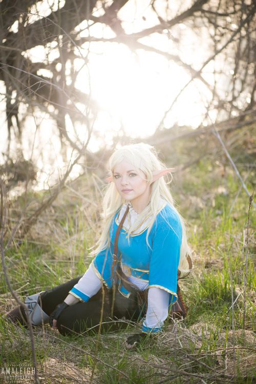 Princess Zelda from Breath of the Wild Cosplay