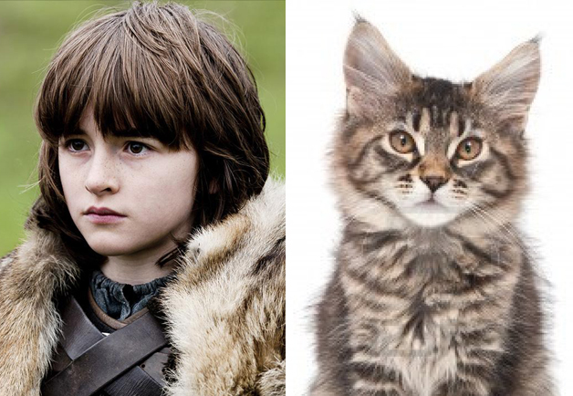 Cats That Look Like Game of Thrones Characters