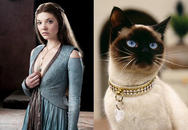 Cats That Look Like Game of Thrones Characters