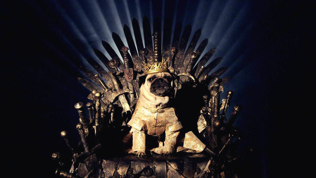 The Pugs of Westeros‬