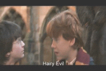 Hilarious English Subtitles on Chinese Harry Potter DVD