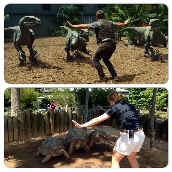 Zookeepers Hilariously Recreating Chris Pratts Jurassic World Raptor Pose