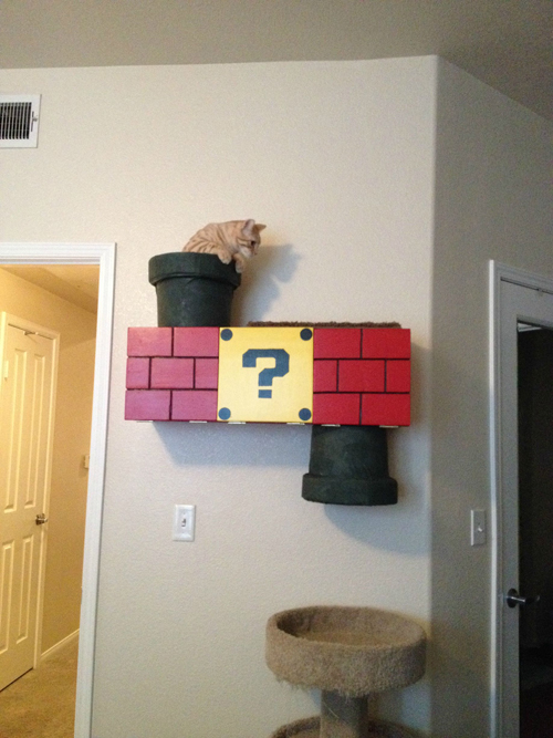 Mario Cat Climber