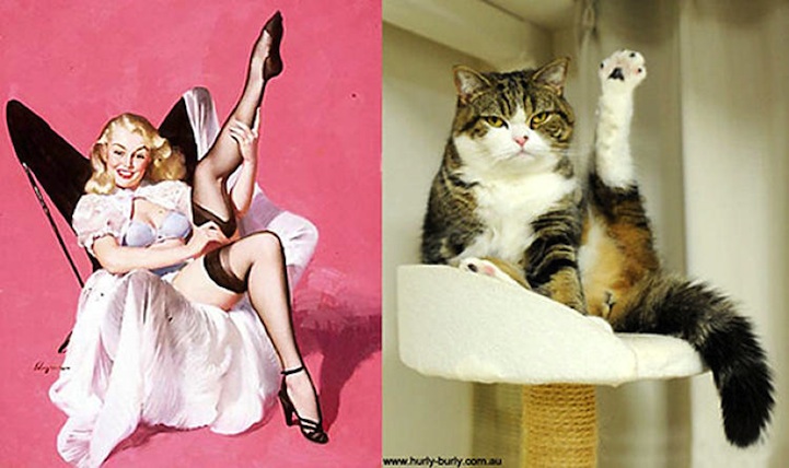 Cats That Pose Like Pinup Girls