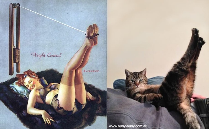Cats That Pose Like Pinup Girls