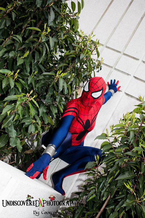 Spider-Girl Cosplay