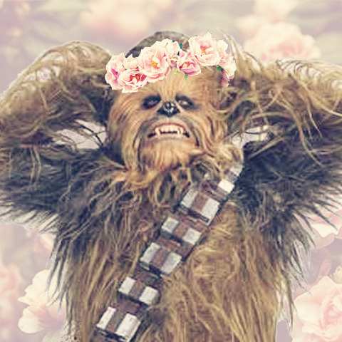 Star Wars Floral Icons