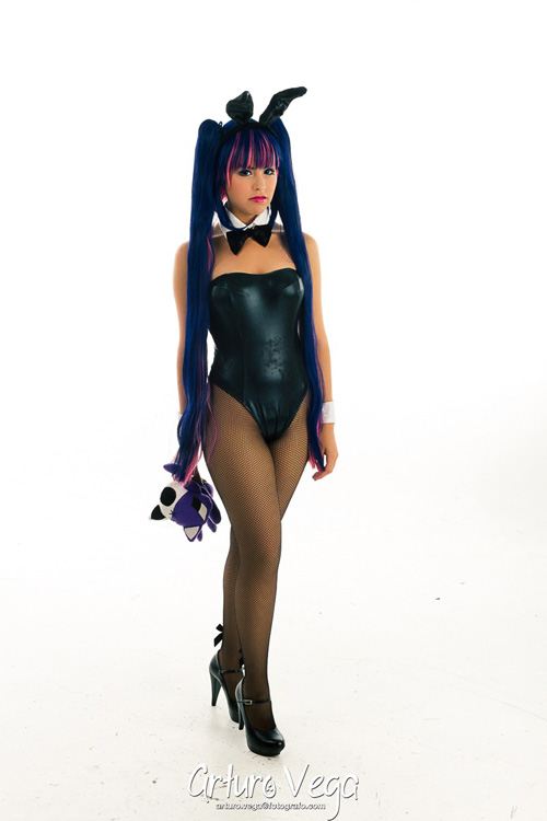 Bunny Suit Stocking Cosplay