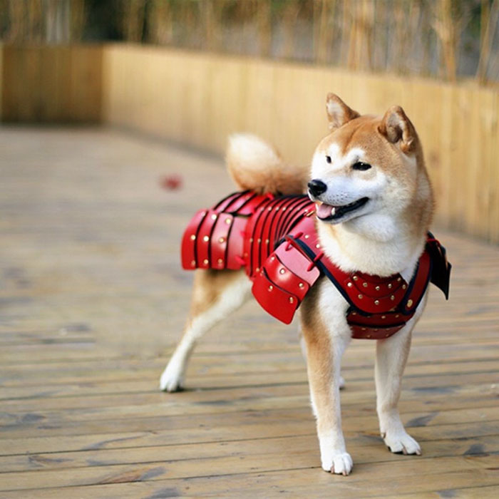 Samurai Armor for Cats and Dogs
