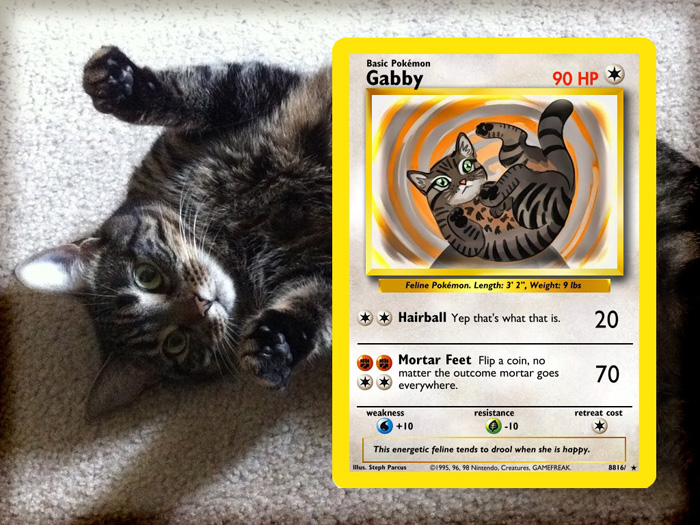 Your Pet as a Pokemon Card