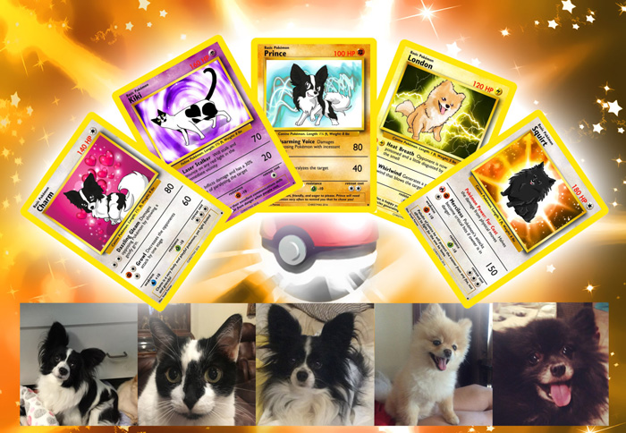 Your Pet as a Pokemon Card