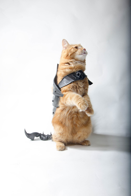 3D Printed Cat Armor