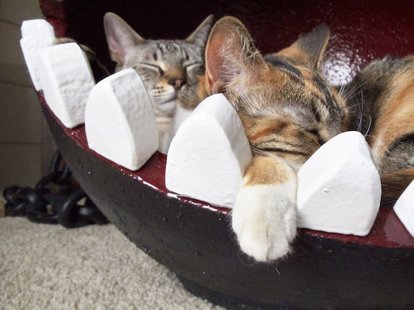 Mario Chain Chomp Cat Bed
