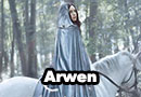 Arwen from Lord of the Rings Cosplay
