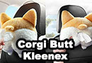 Corgi Butt Car Tissue Holder