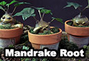 Handmade Mandrake from Harry Potter