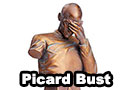 Star Trek TNG Captain Picard Facepalm Bust