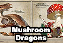Mushroom Dragons Art
