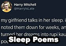 Sleep Talking Turned Into Poems