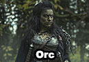 Orc Warrior Woman Fantasy Cosplay